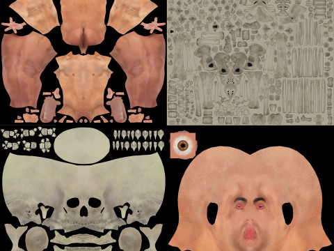 Human Male Skeletal Anatomy Modèle 3D