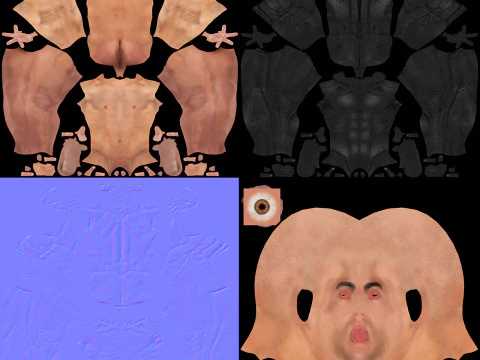 Human Male Nervous Anatomy 3D Model