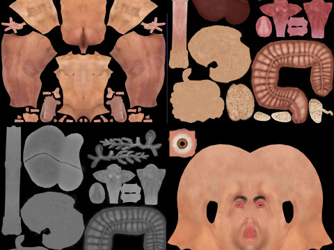 Human Male Digestive Anatomy 3D Model