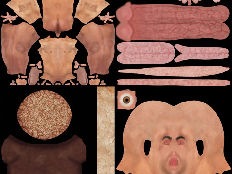 Human Male Urinary and Reproductive Anatomy Modelo 3D