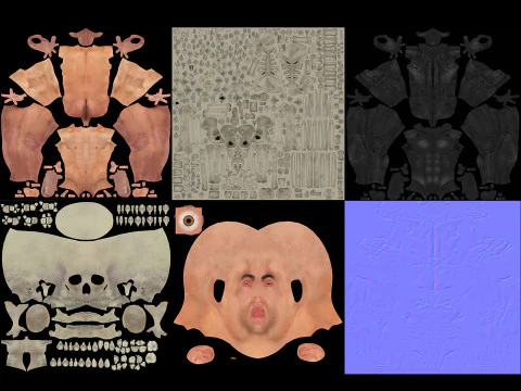 Anatomia scheletrica e nervosa maschile umana Modello 3D
