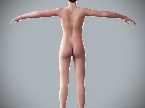 Human Female Complete Anatomy 3D Модель