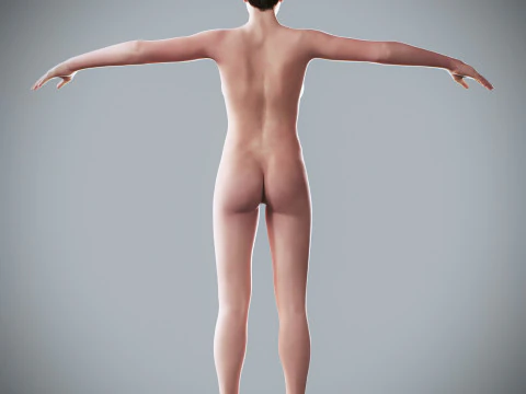 Human Female Complete Anatomy 3D Model