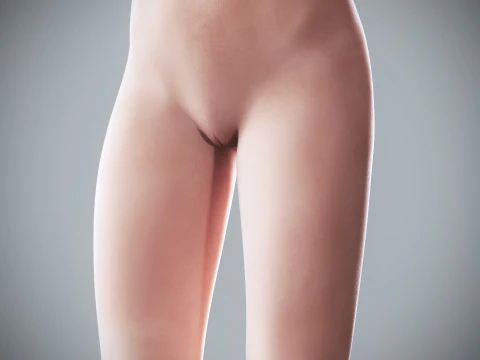 Human Female Complete Anatomy 3D Model