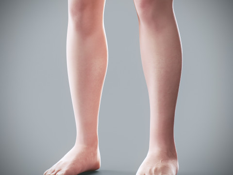 Human Female Complete Anatomy 3D Модель
