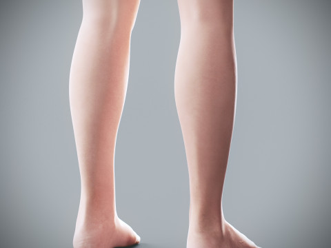 Human Female Complete Anatomy 3D Модель