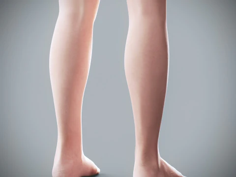 Human Female Complete Anatomy 3D Model