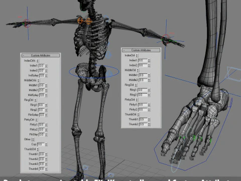 Syst&egrave;me de squelette humain truqu&eacute; Modèle 3D
