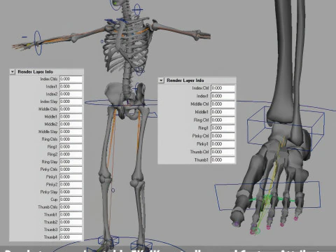 Syst&egrave;me de squelette humain truqu&eacute; Modèle 3D