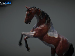 Animated Horses v5 3D Model