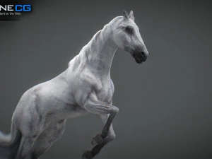 Animated Horses v5 3D Model