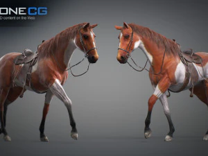Animated Horses v5 3D Model