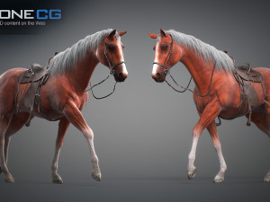 Animated Horses v5 3D 模型