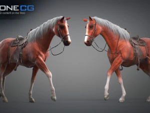 Animated Horses v5 3D Model