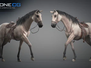 Animated Horses v5 3D Model