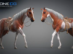 Animated Horses v5 3D Model