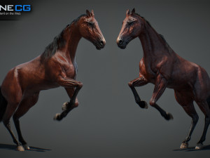Animated Horses v5 3D 模型