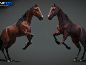 Animated Horses v5 3D Model