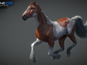 Animated Horses v5 3D 模型