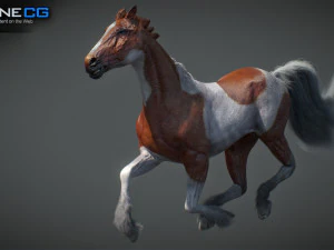 Animated Horses v5 3D Model