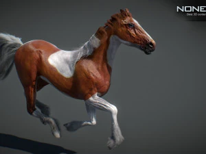 Animated Horses v5 3D Model