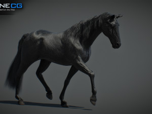Animated Horses v5 3D 模型