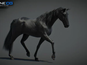 Animated Horses v5 3D Model