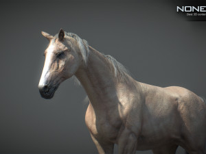 Animated Horses v5 3D 模型