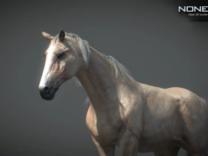Animated Horses v5 3D Model