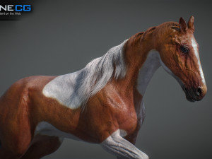 Animated Horses v5 3D 模型