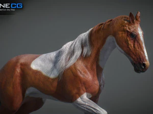 Animated Horses v5 3D Model
