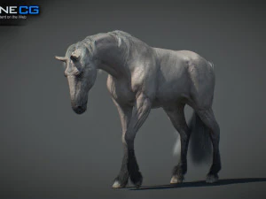Animated Horses v5 3D Model