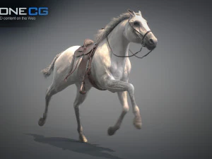 Animated Horses v5 3D Model