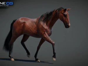 Animated Horses v5 3D Model
