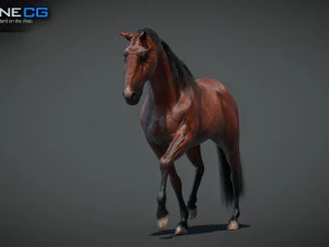 Animated Horses v5 3D Model