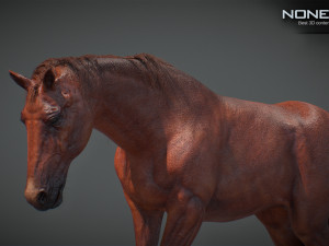 Animated Horses v5 3D 模型