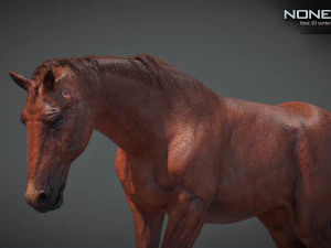 Animated Horses v5 3D Model