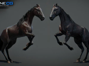 Animated Horses v5 3D Model