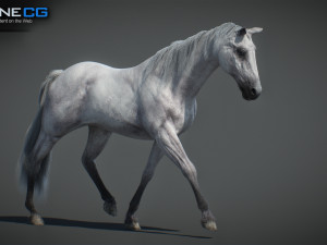 Animated Horses v5 3D 模型