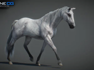 Animated Horses v5 3D Model