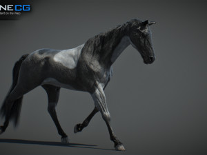 Animated Horses v5 3D 模型