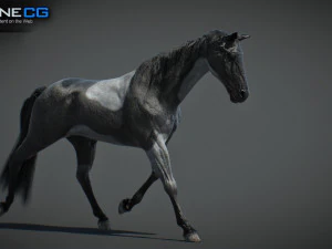 Animated Horses v5 3D Model