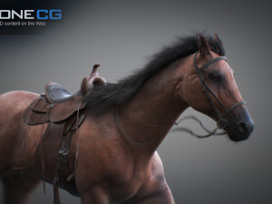Animated horses 3dsmax 3D Model