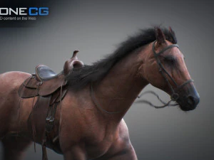 Animated horses 3dsmax 3D Model