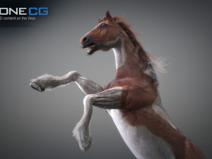 Animated horses 3dsmax 3D Model
