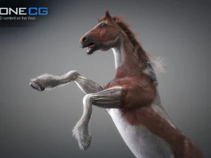Animated horses 3dsmax 3D Model