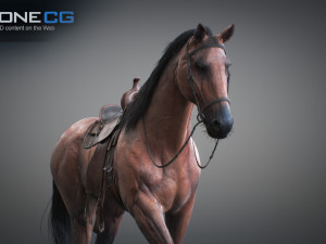 Animated horses 3dsmax 3D Model