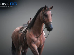 Animated horses 3dsmax 3D Model