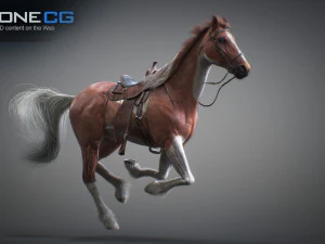 Animated horses 3dsmax 3D Model