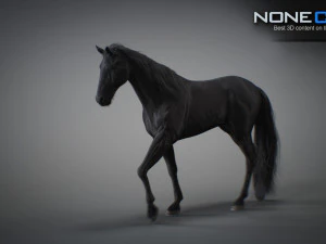 Animated horses 3dsmax 3D Model